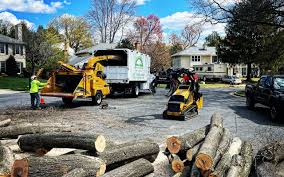 Best Emergency Tree Removal  in Sutter, CA